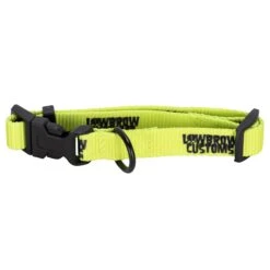 Lowbrow Customs Dog Collar - Small Dogs