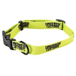 Lowbrow Customs Dog Collar - Large Dogs -Motor Parts Hub 013989 Lowbrow Customs LowbrowCustomsDogCollar LargeDogs 3